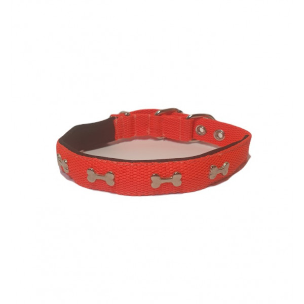 Actirex Patili Neon Köpek Boyun Tasması Medium