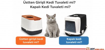 Üstten Girişli Kedi Tuvaleti mi Kapalı Kedi Tuvaleti mi? Hangisi Daha İyi?
