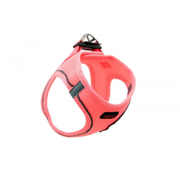 Tailpetz Neon Köpek Göğüs Tasması S