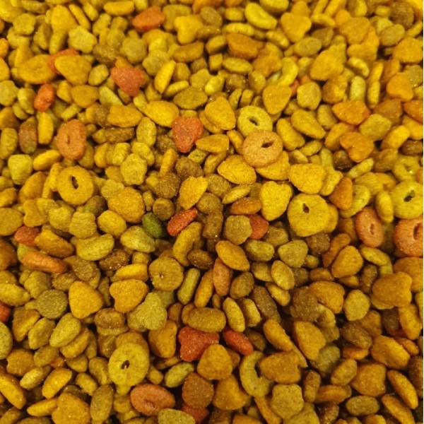 Mix Cat Açık Sokak Kedisi Maması